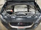 2019 Jaguar F-Pace Prestige продається в Ham Lake, MN - Rear End