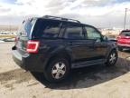 2009 Ford Escape Xlt zu verkaufen in Albuquerque, NM - Front End