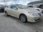 2012 Lexus Es 350 للبيع في Louisville، KY - Hail