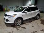 2014 FORD ESCAPE SE   for sale at Copart NB - MONCTON