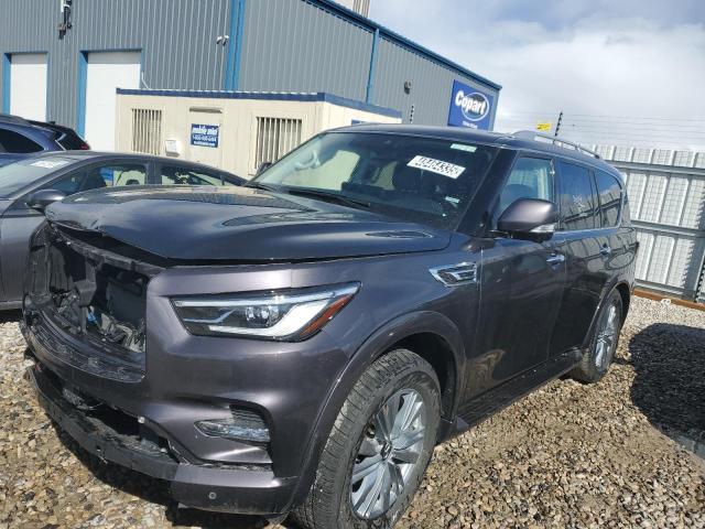  INFINITI QX80 2024 Gray
