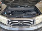 2012 Honda Pilot Exl იყიდება Homestead-ში, FL - Minor Dent/Scratches