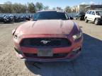 2015 Ford Mustang  for Sale in Las Vegas, NV - Rear End