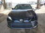 2024 Toyota Camry Xle for Sale in Fort Wayne, IN - Front End