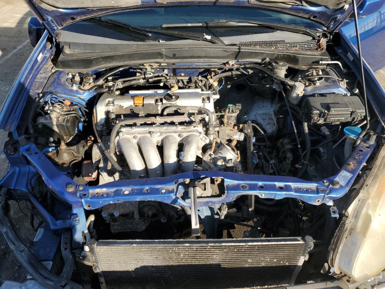 2004 Acura Rsx Type-S VIN: JH4DC53034S017630 Lot: 47219615
