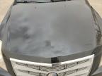 Albuquerque, NM에서 판매 중인 2011 Cadillac Cts Performance Collection - Top/Roof