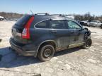 2007 Honda Cr-V Exl იყიდება Walton-ში, KY - Front End