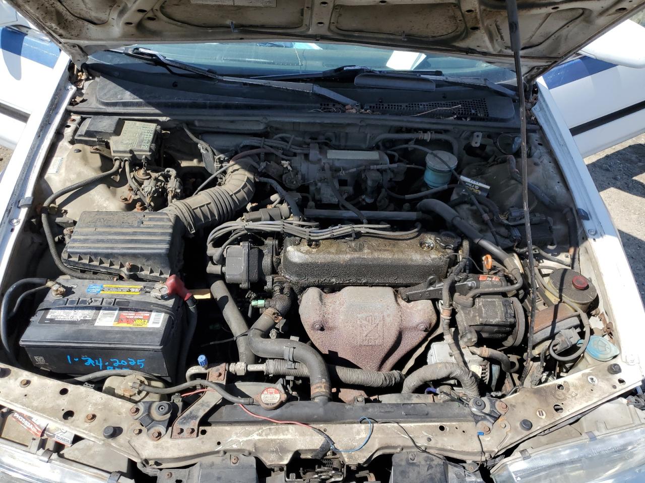 1993 Honda Accord Lx VIN: 1HGCB7655PA147620 Lot: 49849055