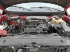 2013 Ford F150 Supercrew იყიდება Madisonville-ში, TN - Front End