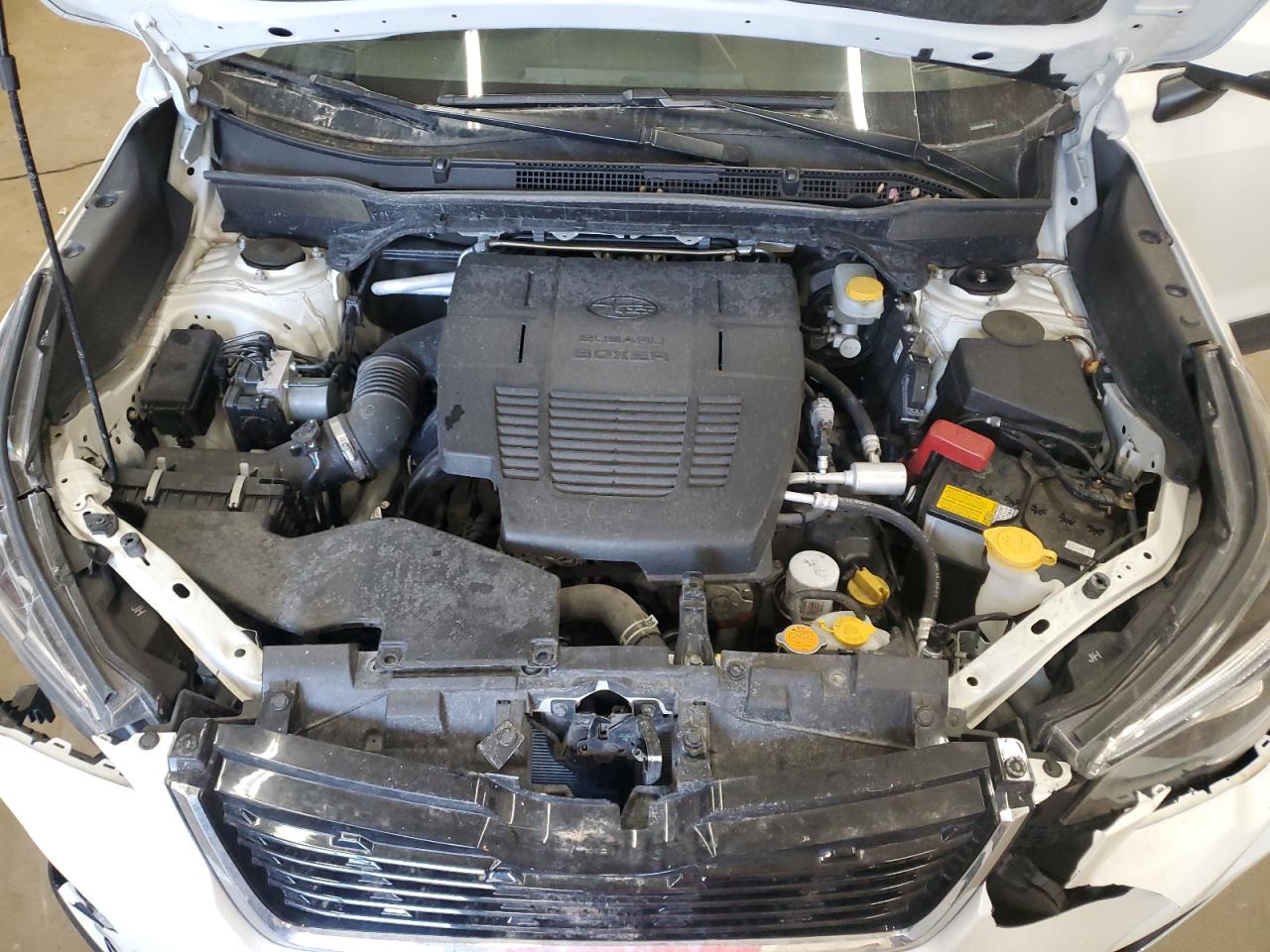 2019 Subaru Forester Limited VIN: JF2SKASC3KH484395 Lot: 49066905