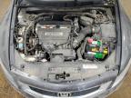2009 Honda Accord Exl   de vânzare în Blaine, MN - Mechanical