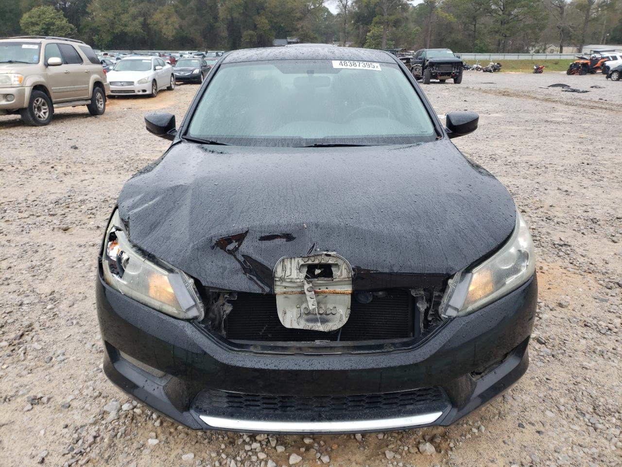 2014 Honda Accord - Image 5