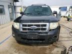 2010 Ford Escape Xlt en Venta en Pekin, IL - Front End