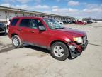 2011 Ford Escape Xlt للبيع في Louisville، KY - Front End