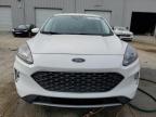 2022 Ford Escape Sel for Sale in Jacksonville, FL - Rear End
