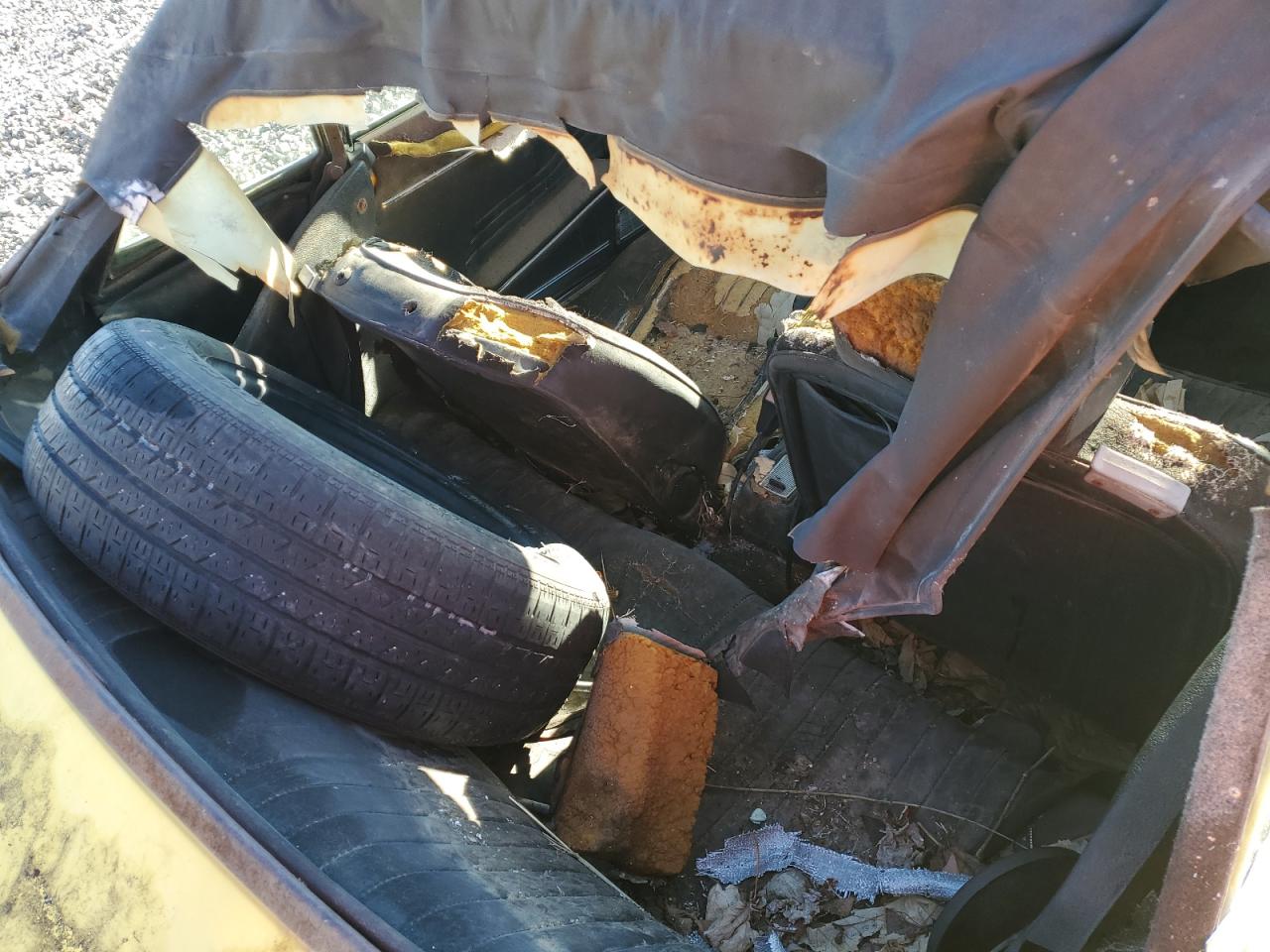 1973 Fiat Spider VIN: 124CS10138566 Lot: 50089585