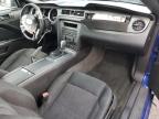 2014 Ford Mustang  for Sale in Las Vegas, NV - Front End