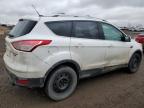 2013 FORD ESCAPE TITANIUM à vendre chez Copart AB - CALGARY