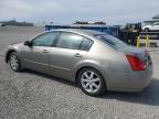 Earlington, KY에서 판매 중인 2006 Nissan Maxima Se - Front End