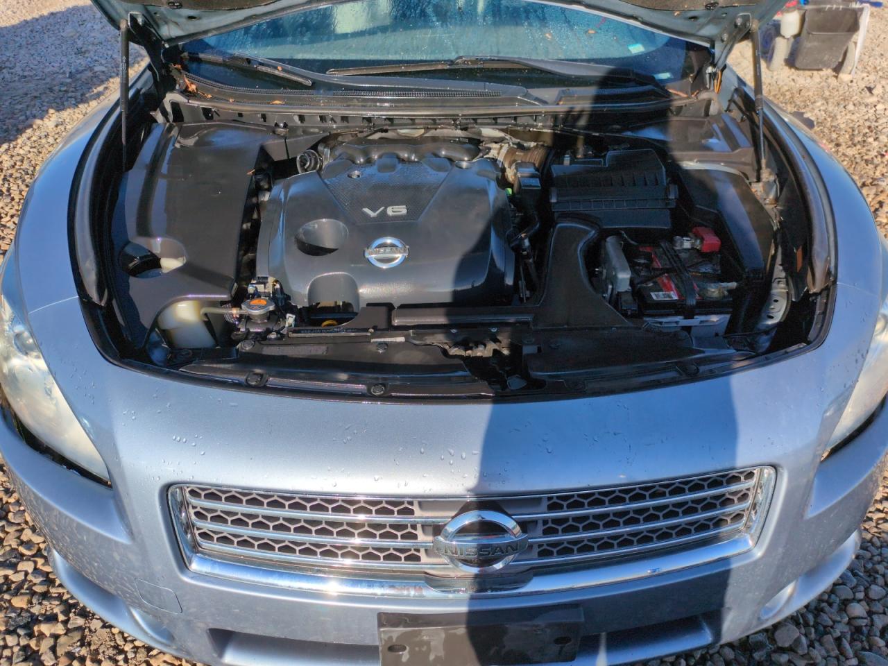 2010 Nissan Maxima S VIN: 1N4AA5A94AC869914 Lot: 50179505