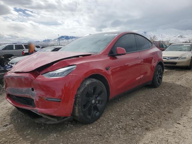 2020 Tesla Model Y 