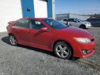2014 TOYOTA CAMRY L à vendre chez Copart NS - HALIFAX