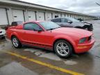 2006 Ford Mustang  for Sale in Louisville, KY - Normal Wear