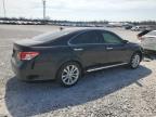 2010 Lexus Es 350 de vânzare în Lawrenceburg, KY - Rear End