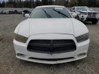 Graham, WA에서 판매 중인 2012 Dodge Charger Police - Minor Dent/Scratches