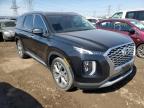 2020 Hyundai Palisade Sel zu verkaufen in Elgin, IL - Rear End