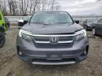 2020 Honda Pilot Exl en Venta en Windsor, NJ - Water/Flood