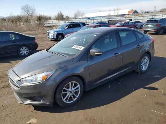 Sedans FORD FOCUS 2015 Gray