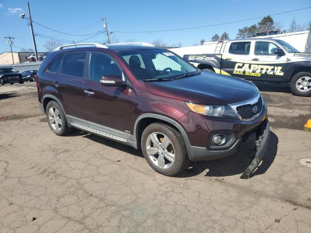  KIA SORENTO 2012 Fioletowy