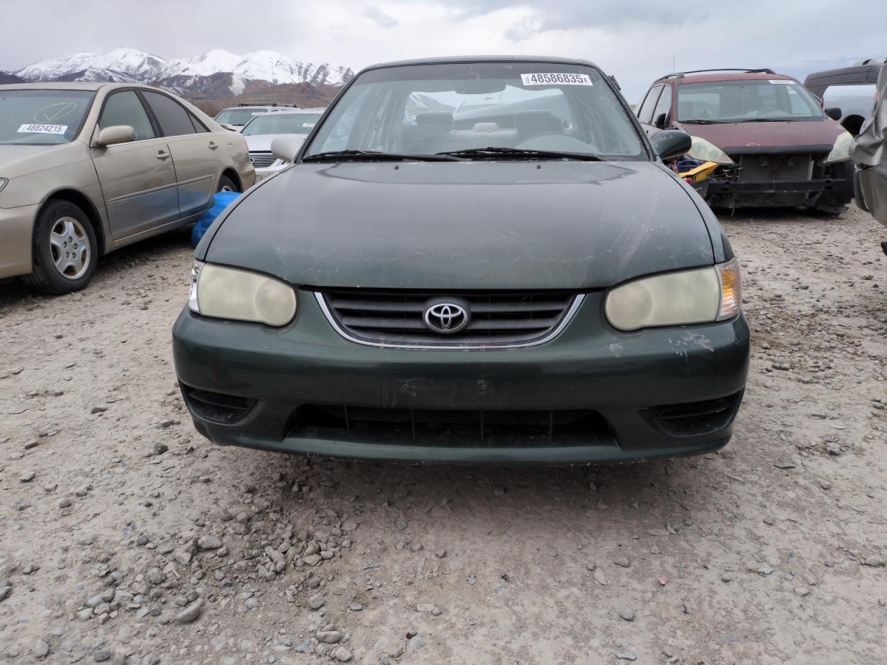 2001 Toyota Corolla - Image 5