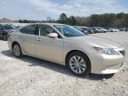 2013 Lexus Es 300H продається в Florence, MS - Rear End