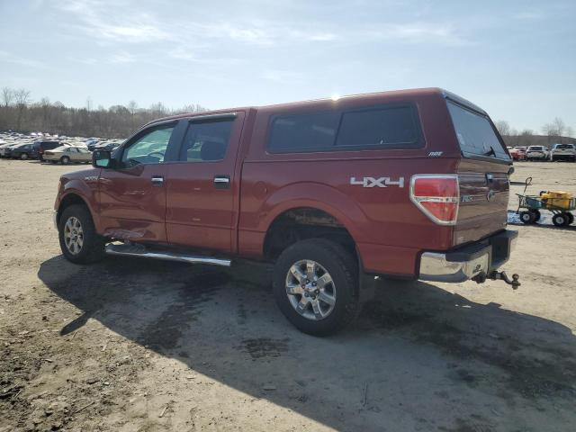  FORD F-150 2014 Бургунді