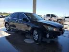 2011 Honda Accord Exl for Sale in West Palm Beach, FL - Front End