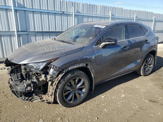 2021 LEXUS NX 300 BASE à vendre chez Copart AB - EDMONTON