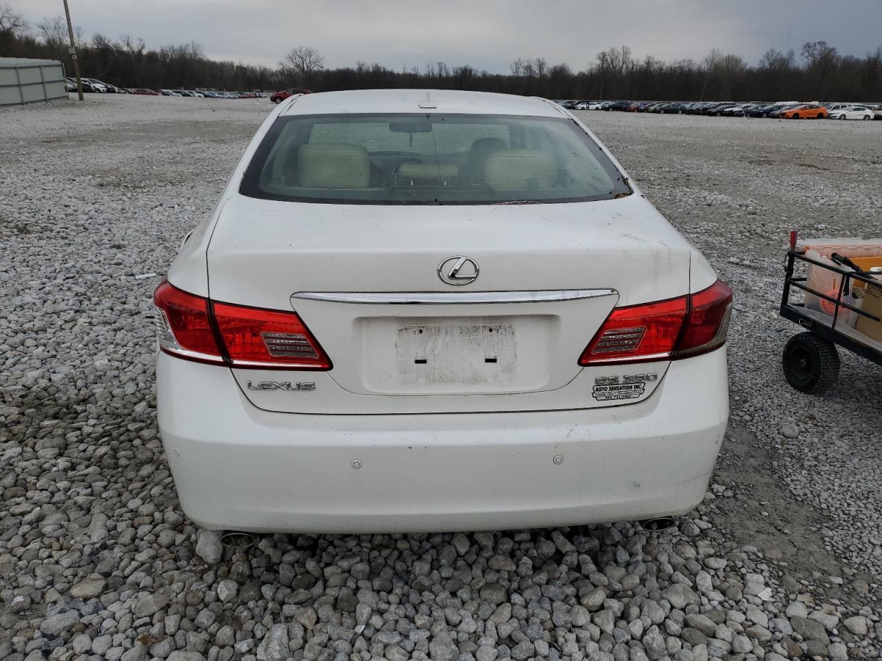 2010 Lexus ES - Image 6