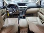 2013 Lexus Rx 350 for Sale in San Diego, CA - Rear End