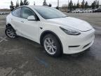 2021 Tesla Model Y  за продажба в Rancho Cucamonga, CA - Side