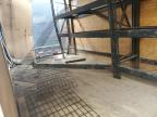 2023 Homesteader Enclosed Cargo Trailer იყიდება San Diego-ში, CA - Rear End