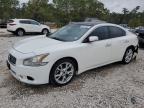2012 Nissan Maxima S na sprzedaż w Houston, TX - Side