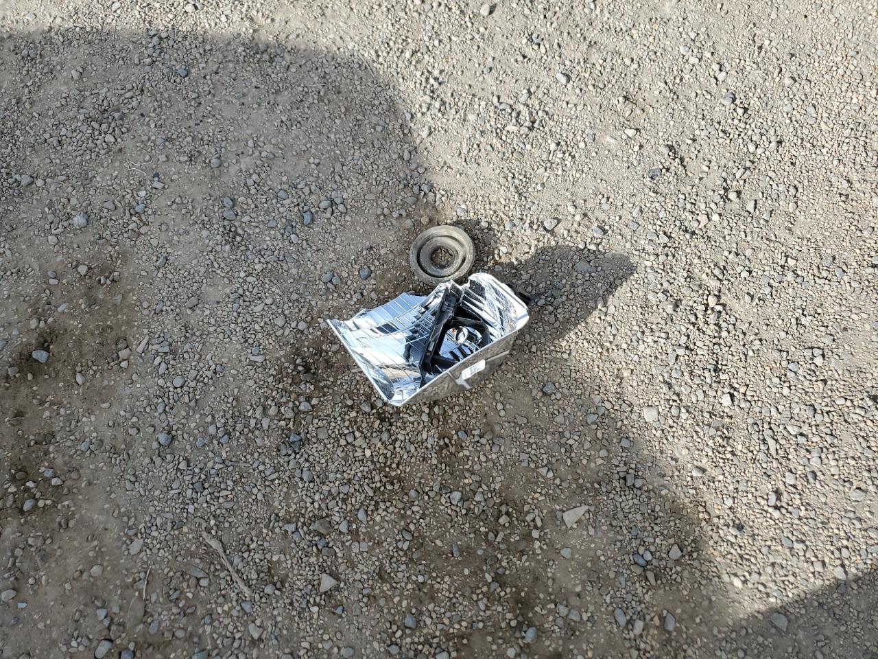 2014 Ford Econoline E350 Super Duty Wagon VIN: 1FBSS3BL3EDB01131 Lot: 49519145