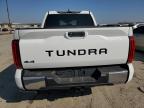 2024 Toyota Tundra Crewmax Sr на продаже в Indianapolis, IN - Front End