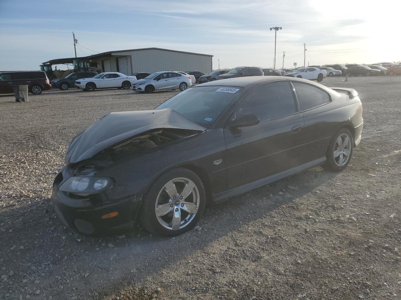 6G2VX12G74L238358 PONTIAC GTO Photo 1