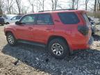 2024 Toyota 4Runner Sr5 Premium за продажба в Cicero, IN - Front End