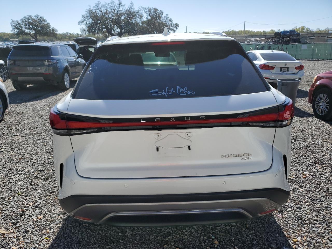 2024 Lexus RX - Image 6