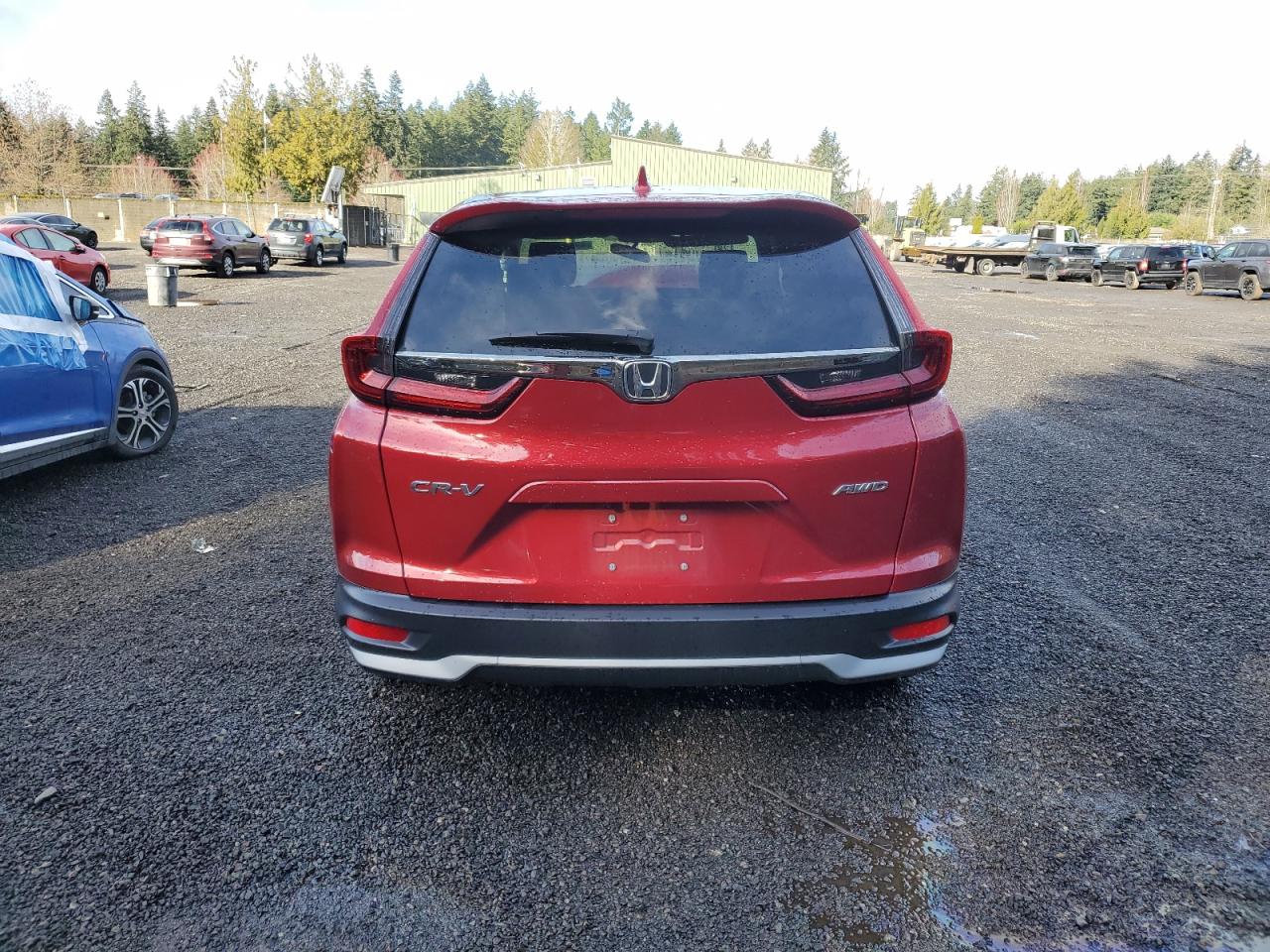 2021 Honda CR-V - Image 6