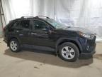 2021 Toyota Rav4 Xle de vânzare în Brookhaven, NY - Minor Dent/Scratches
